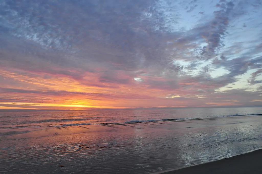 Sealoft Oceanfront Hotel Ocean City